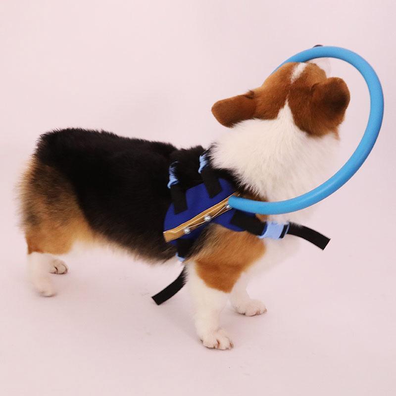 Arnés con collar protector y ayuda de movilidad para perros ciegos