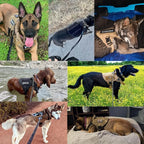 Arnés táctico para perro de nailon con asa, cierres rápidos y sistema MOLLE, acolchado y antiescape, también en set con 