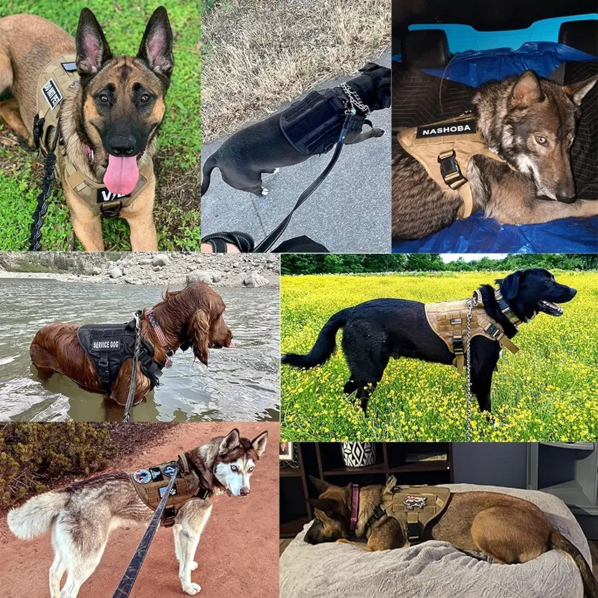 Arnés táctico para perro de nailon con asa, cierres rápidos y sistema MOLLE, acolchado y antiescape, también en set con 