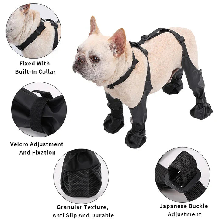 Botas ajustables para perro