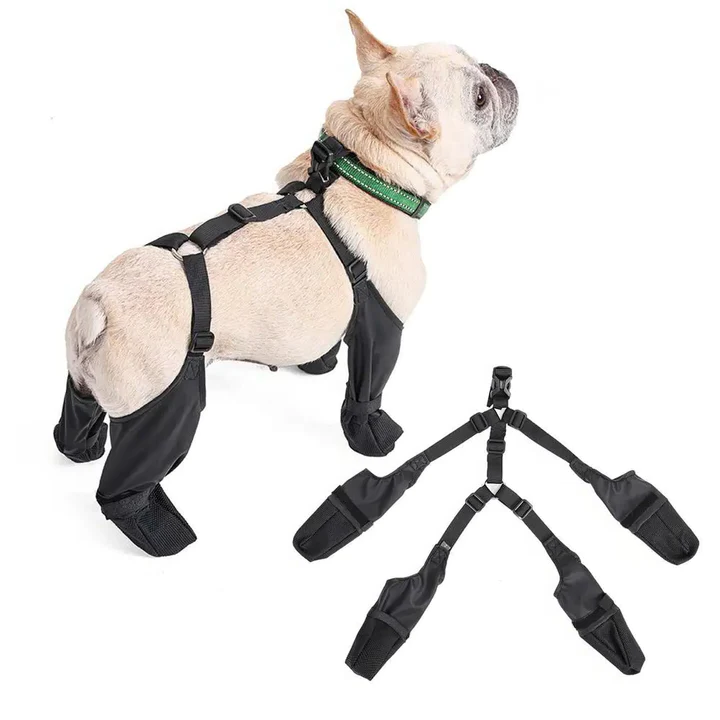 Botas ajustables para perro