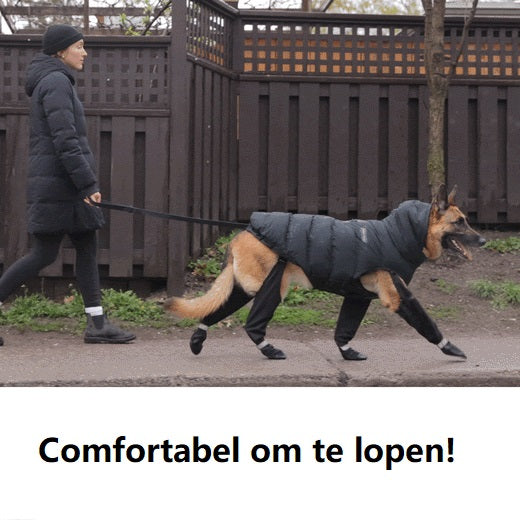 Botas impermeables para perro — Protección para nieve, senderismo y actividades al aire libre