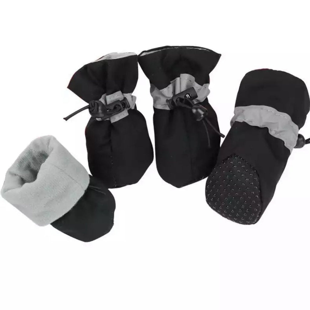 Botas para perro de invierno