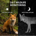 Cámara de fototrampeo para exteriores con visión nocturna