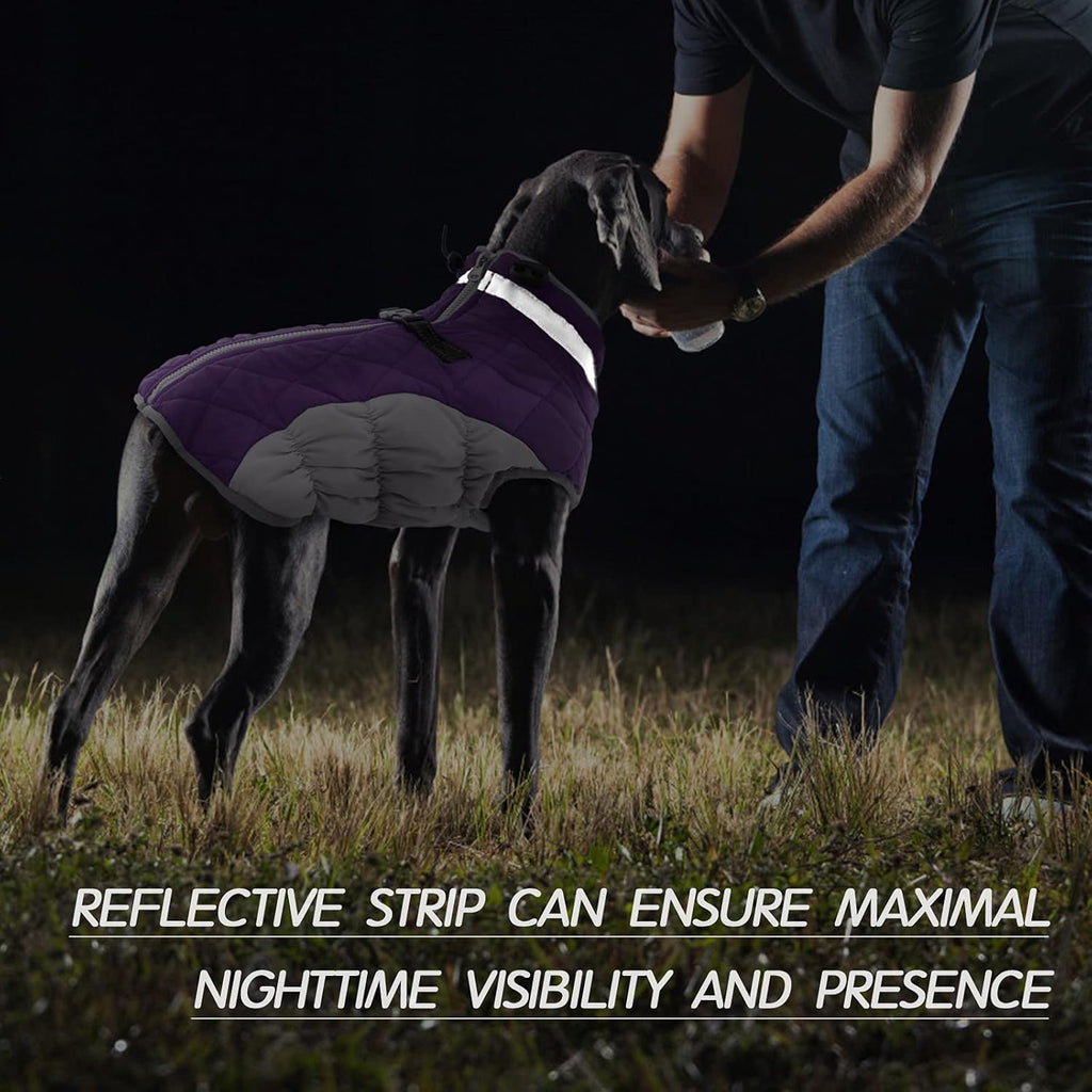 Chaqueta arnés de invierno SafeWalk – Impermeable con reflectantes y forro polar para perros