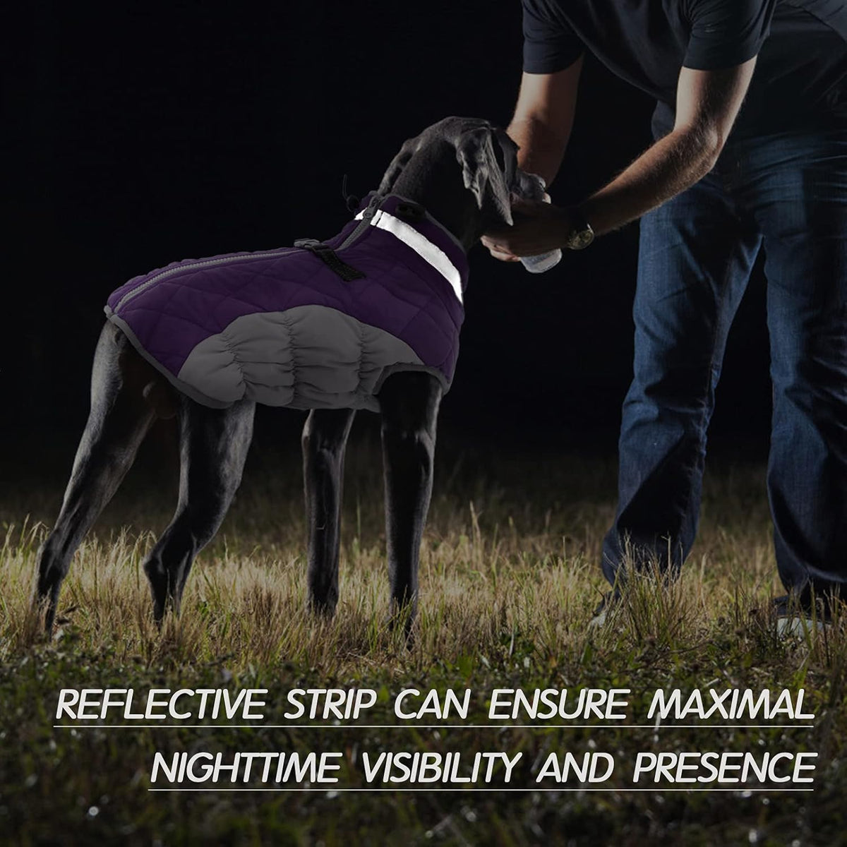 Chaqueta arnés de invierno SafeWalk – Impermeable con reflectantes y forro polar para perros