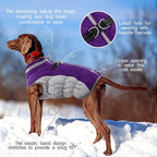 Chaqueta arnés de invierno SafeWalk – Impermeable con reflectantes y forro polar para perros