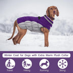 Chaqueta arnés de invierno SafeWalk – Impermeable con reflectantes y forro polar para perros