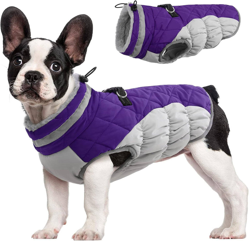 Chaqueta arnés de invierno SafeWalk – Impermeable con reflectantes y forro polar para perros