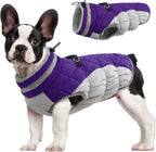 Chaqueta arnés de invierno SafeWalk – Impermeable con reflectantes y forro polar para perros