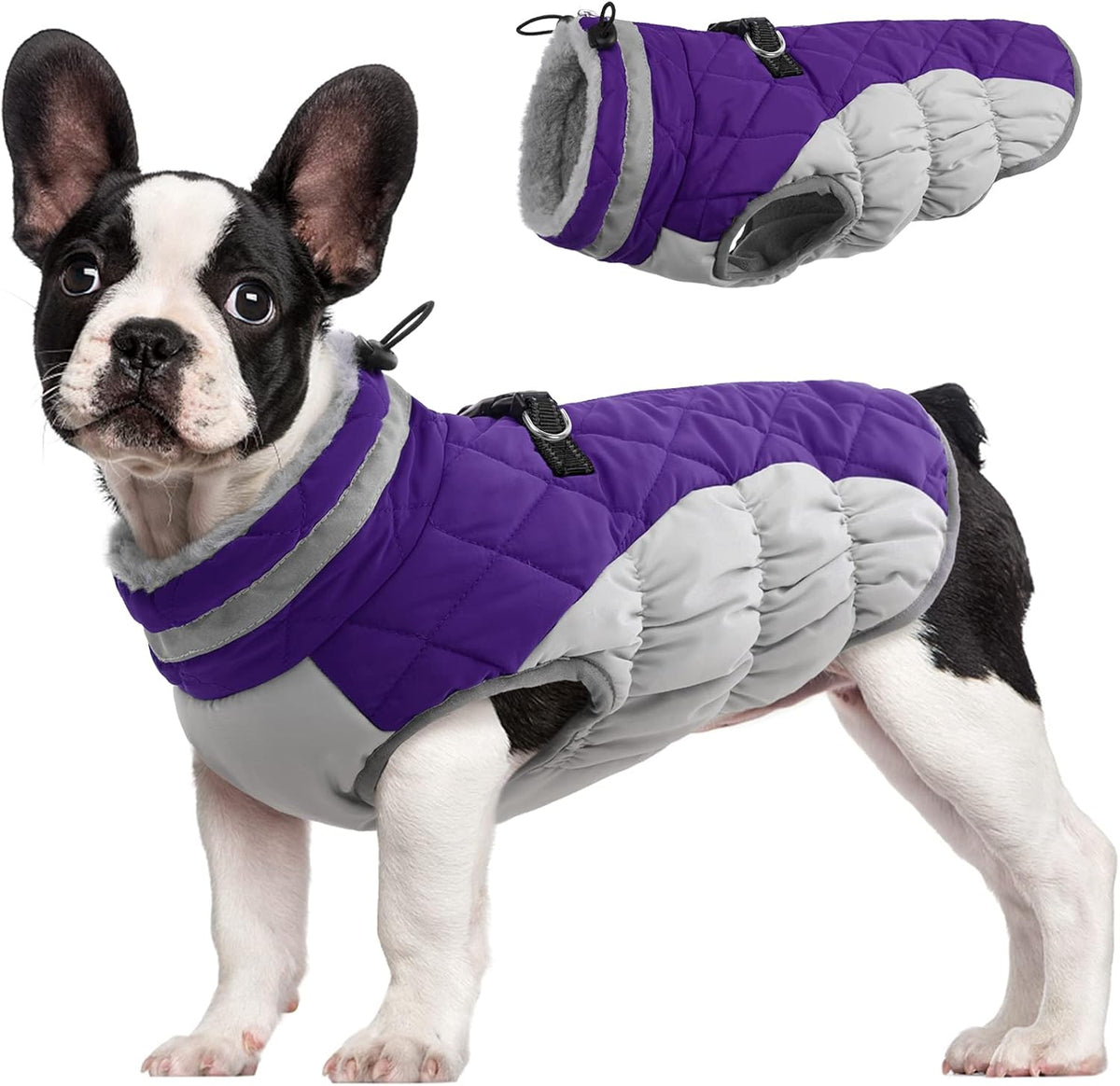 Chaqueta arnés de invierno SafeWalk – Impermeable con reflectantes y forro polar para perros
