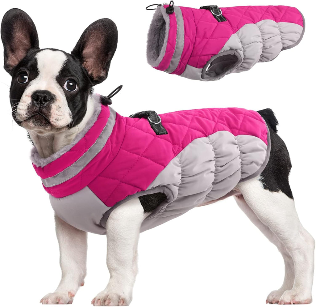 Chaqueta arnés de invierno SafeWalk – Impermeable con reflectantes y forro polar para perros