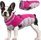 Chaqueta arnés de invierno SafeWalk – Impermeable con reflectantes y forro polar para perros