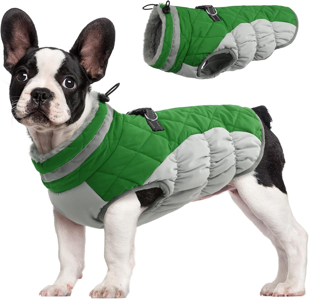 Chaqueta arnés de invierno SafeWalk – Impermeable con reflectantes y forro polar para perros