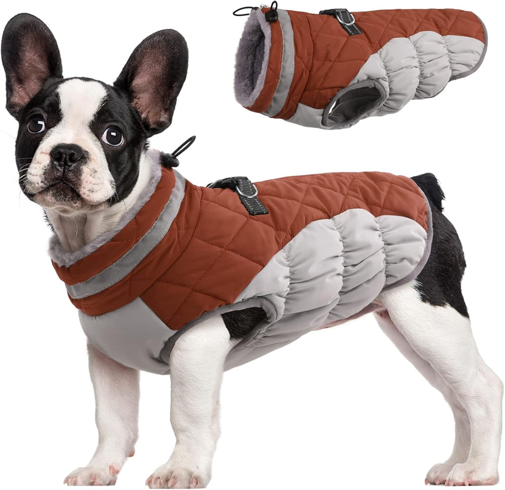 Chaqueta arnés de invierno SafeWalk – Impermeable con reflectantes y forro polar para perros