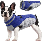 Chaqueta arnés de invierno SafeWalk – Impermeable con reflectantes y forro polar para perros
