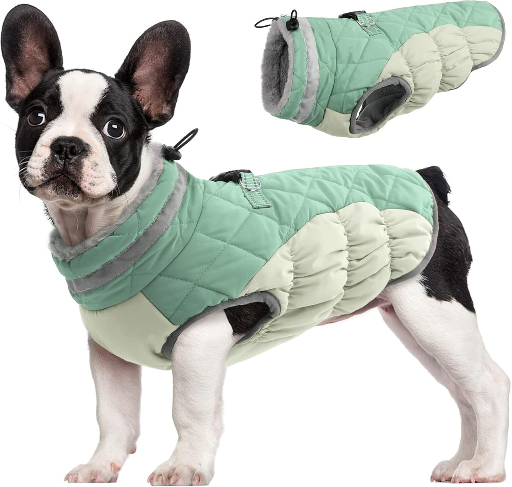 Chaqueta arnés de invierno SafeWalk – Impermeable con reflectantes y forro polar para perros