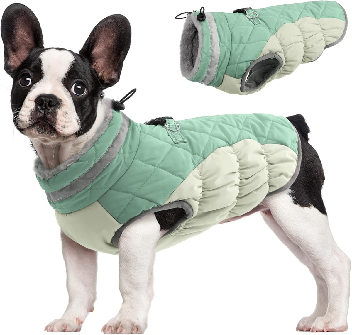 Chaqueta arnés de invierno SafeWalk – Impermeable con reflectantes y forro polar para perros