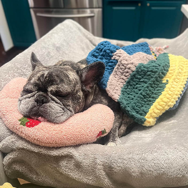 Cojín confortable para perros CalmNest