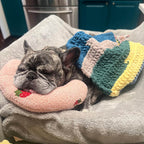 Cojín confortable para perros CalmNest