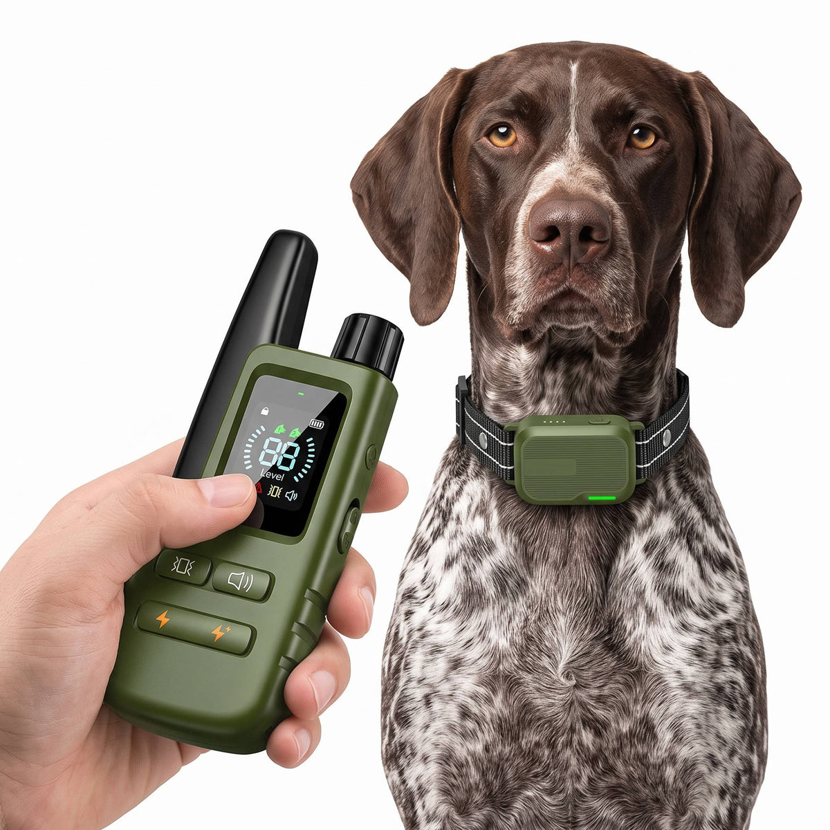 Collar de adiestramiento para perros con mando a distancia, alcance de 1006 m, collar ajustable para perros de 4,5 a 54 