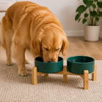 Comedero doble de cerámica con soporte elevado de madera para perros