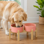 Comedero doble de cerámica con soporte elevado de madera para perros