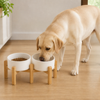 Comedero doble de cerámica con soporte elevado de madera para perros