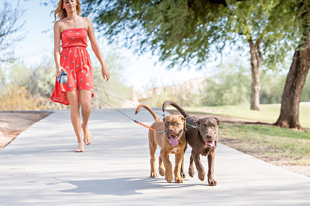 Correa doble para perros – Correa dual para 2 perros con giro 360°, sin enredos, reflectante