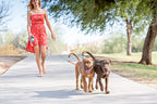 Correa doble para perros – Correa dual para 2 perros con giro 360°, sin enredos, reflectante