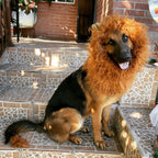 Disfraz de melena de león para perros en Halloween, melena de león de peluche con orejas para perros medianos y grandes,