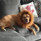 Disfraz de melena de león para perros en Halloween, melena de león de peluche con orejas para perros medianos y grandes,