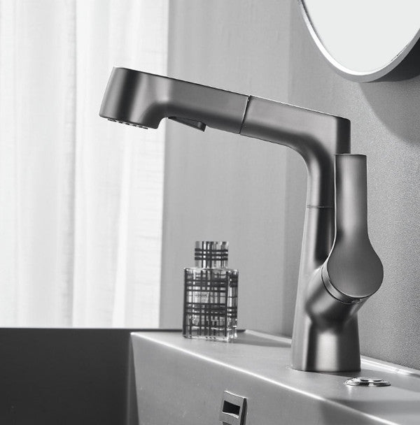 Grifo de baño con ducha de mano giratoria y extraíble
