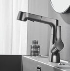 Grifo de baño con ducha de mano giratoria y extraíble