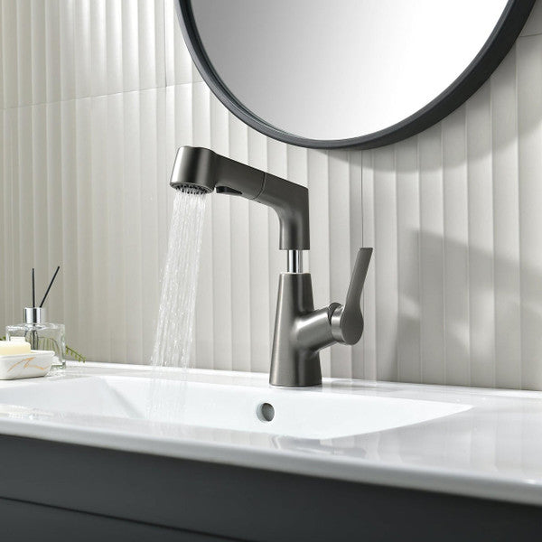Grifo de baño con ducha de mano giratoria y extraíble