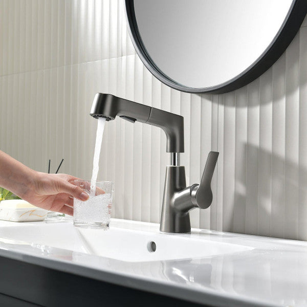 Grifo de baño con ducha de mano giratoria y extraíble