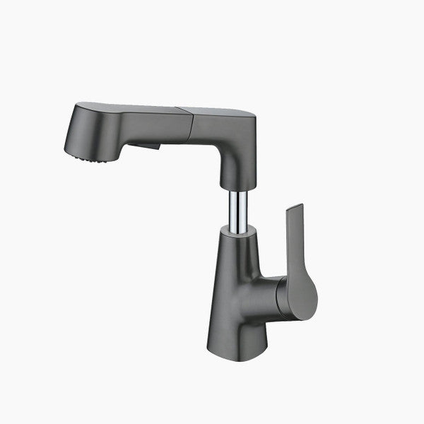 Grifo de baño con ducha de mano giratoria y extraíble