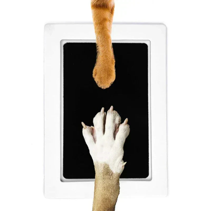 Kit de huellas de mascota