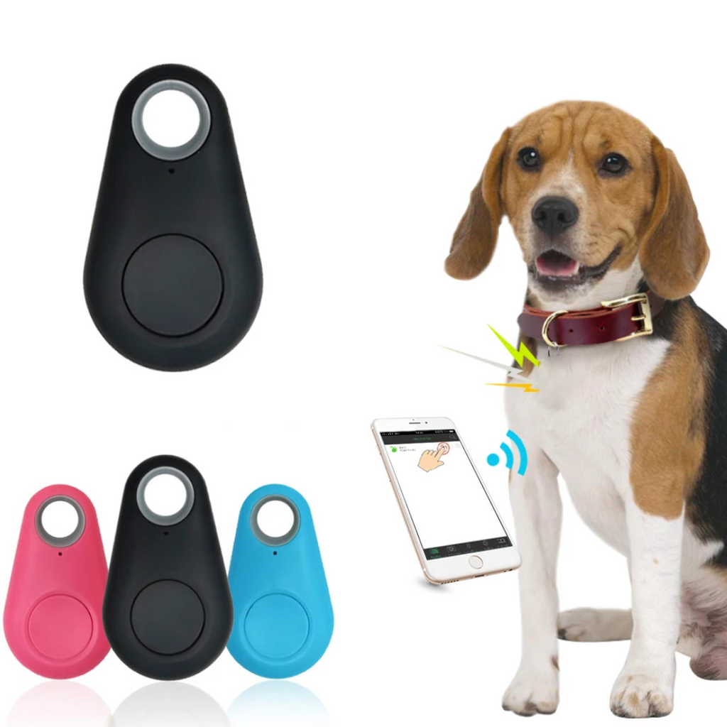 Localizador GPS con ubicación en vivo – Mini rastreador para niños, mascotas y objetos de valor, app, 5 colores – SafeTr