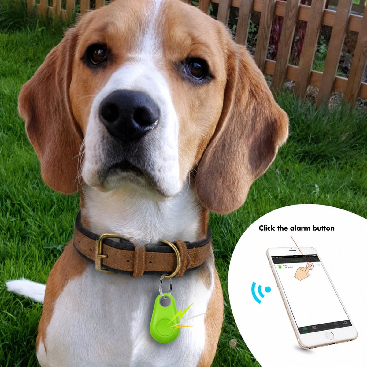 Localizador GPS con ubicación en vivo – Mini rastreador para niños, mascotas y objetos de valor, app, 5 colores – SafeTr
