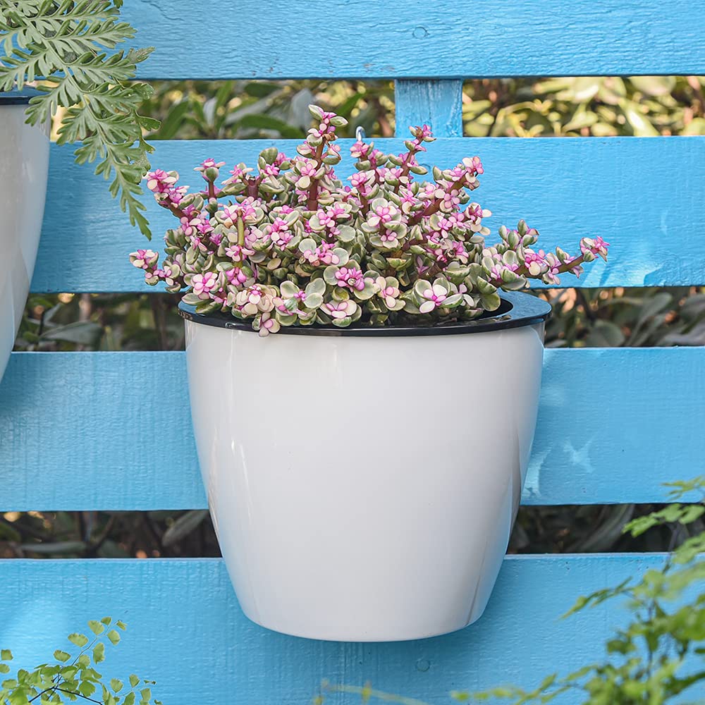 Maceta colgante de pared con autorriego – Sistema de riego automático para plantas