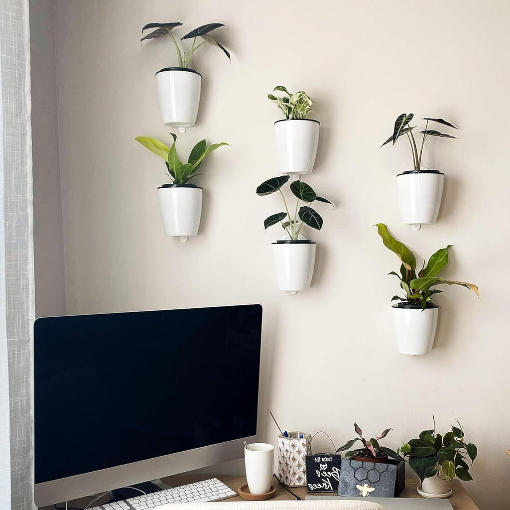 Maceta colgante de pared con autorriego – Sistema de riego automático para plantas