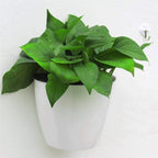Maceta colgante de pared con autorriego – Sistema de riego automático para plantas