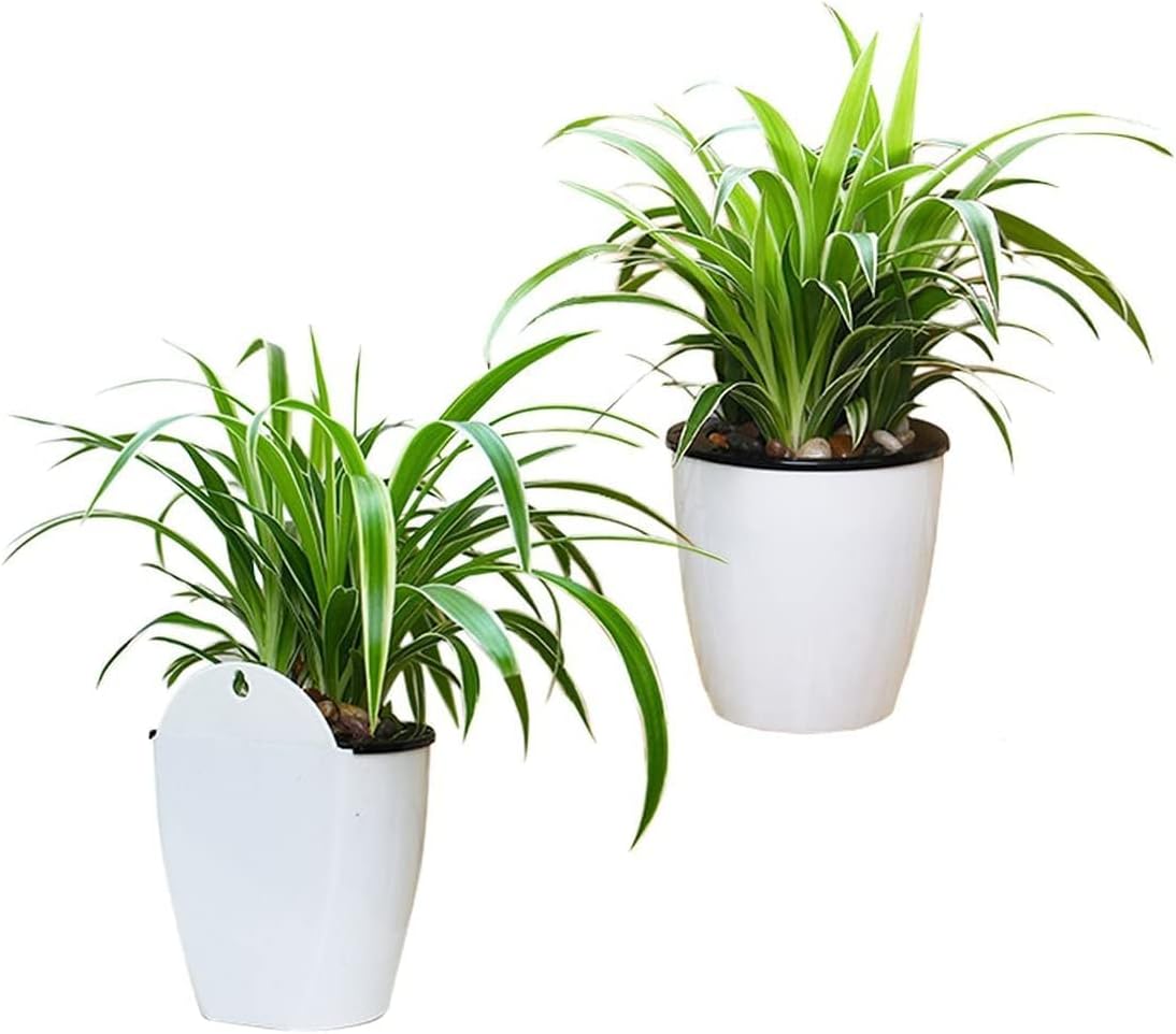 Maceta colgante de pared con autorriego – Sistema de riego automático para plantas