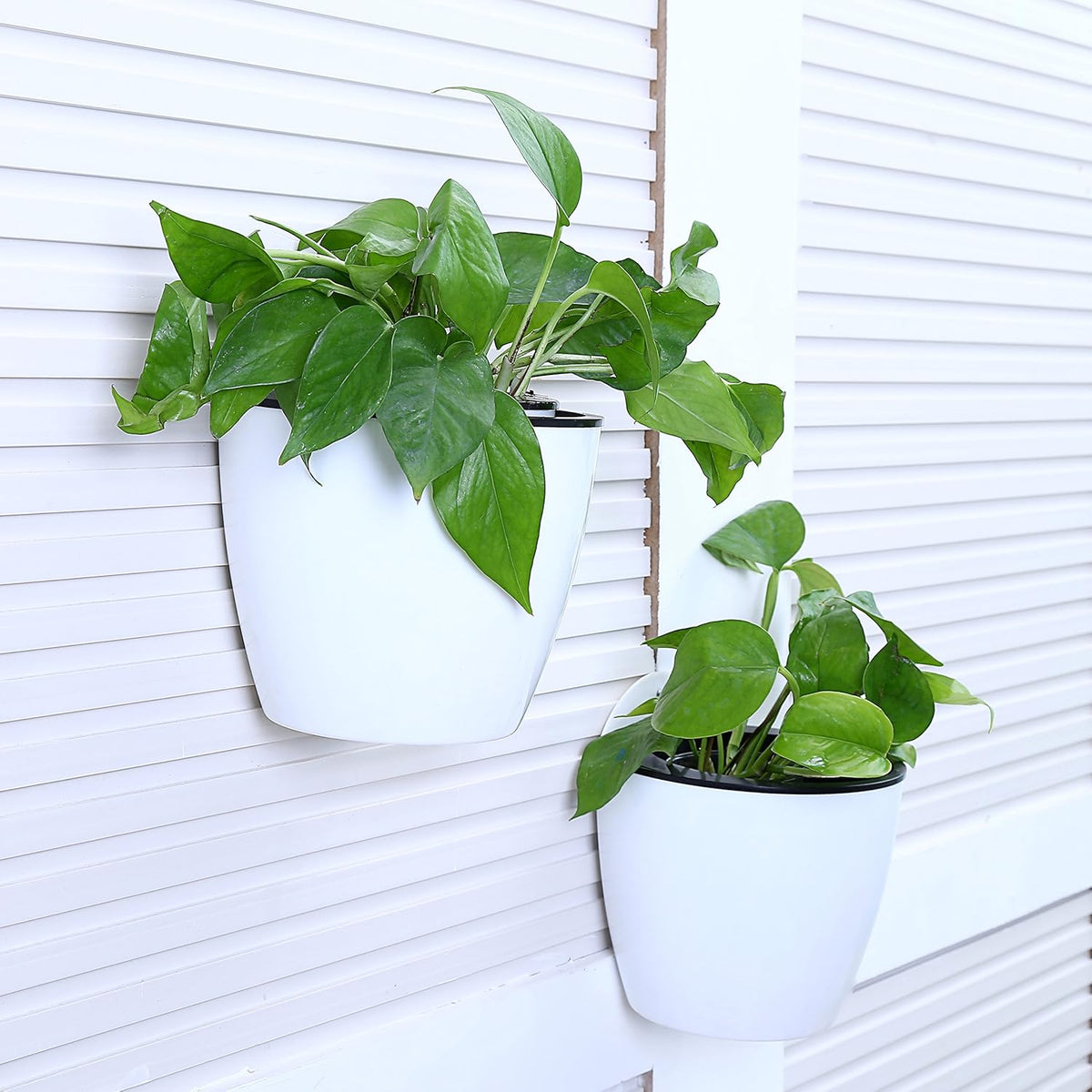 Maceta colgante de pared con autorriego – Sistema de riego automático para plantas