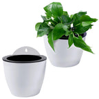 Maceta colgante de pared con autorriego – Sistema de riego automático para plantas
