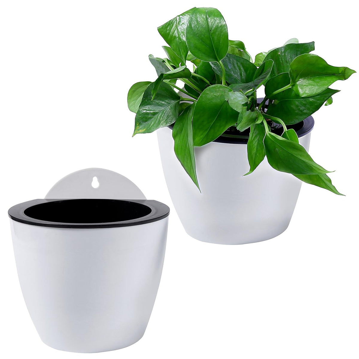 Maceta colgante de pared con autorriego – Sistema de riego automático para plantas