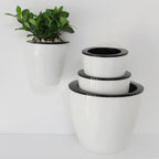 Maceta colgante de pared con autorriego – Sistema de riego automático para plantas