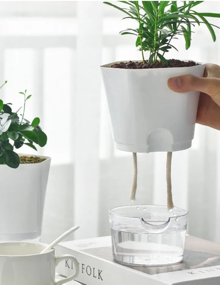 Maceta con depósito de agua – Maceta autorregante para plantas de interior