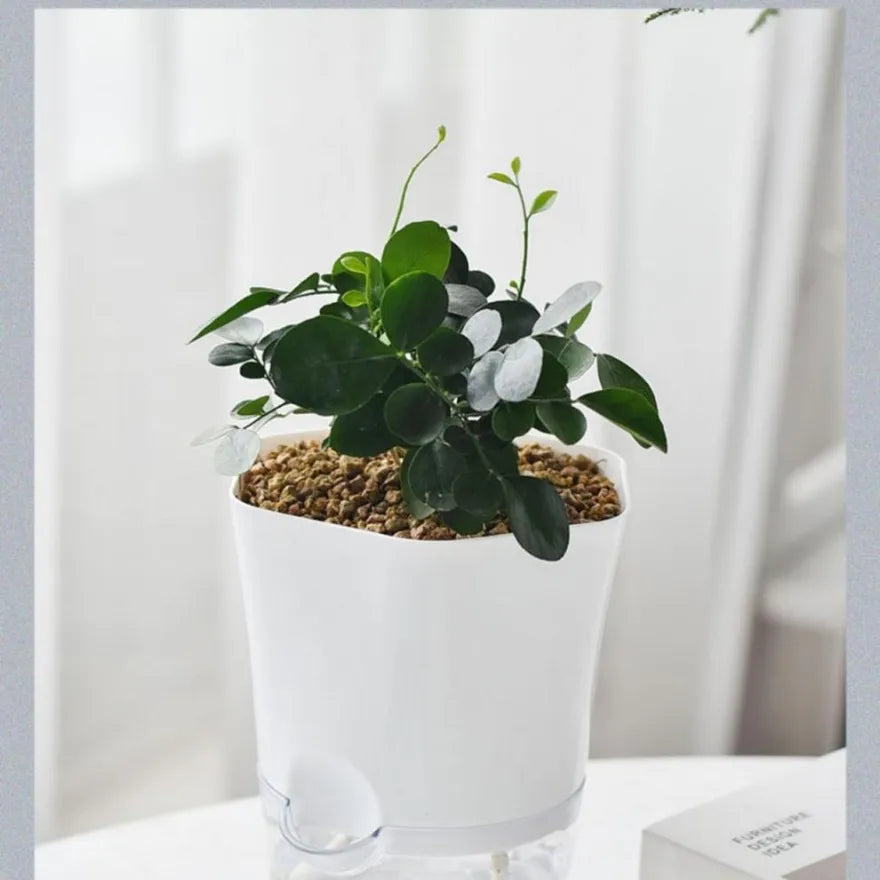 Maceta con depósito de agua – Maceta autorregante para plantas de interior